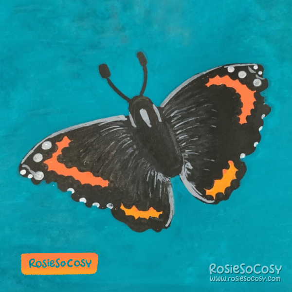 An illustration of an admiral butterfly, black with orange details, and some white. With a teal/turquoise background.