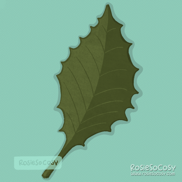 An illustration of an elm leaf. A medium to dark green leaf.