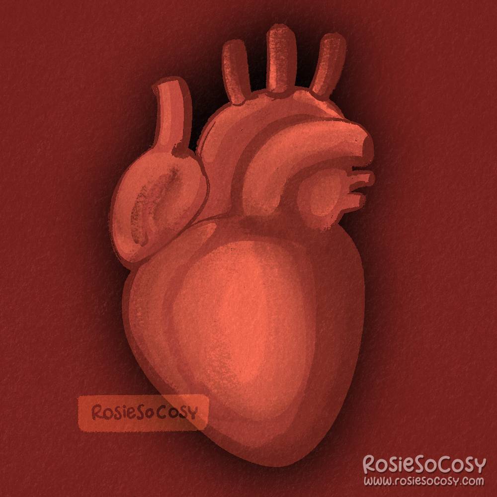 An illustration of a human heart, against a red background.